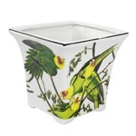 Assistência Técnica e Garantia do produto Vaso de Cerâmica Parrots P