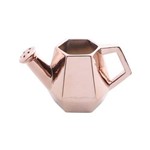 Assistência Técnica e Garantia do produto Vaso de Ceramica Tipo Regador C/ Pintura Eletrostática Rose Gold - F9-25657