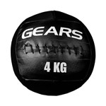 Assistência Técnica e Garantia do produto Wall Ball 4Kg Black Edition Gears